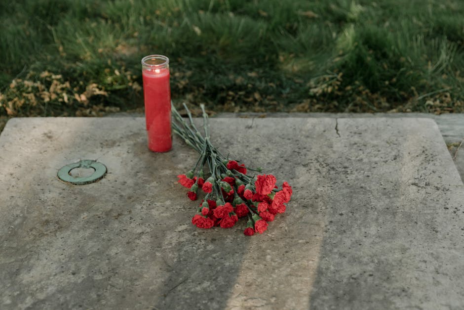A condolence floral gift placed on a weathered stone memorial surface, consisting of a small bouquet of red carnations with green stems, tied together and resting horizontally. Next to the flowers, th